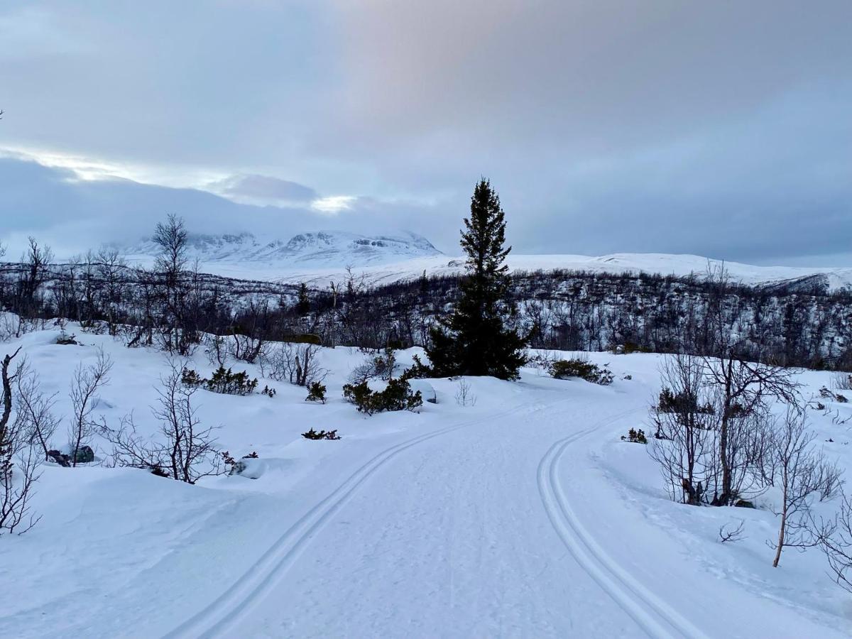 Hakkesetstolen Fjellstugu 호텔 게일로 외부 사진