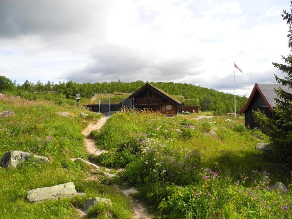 Hakkesetstolen Fjellstugu 호텔 게일로 외부 사진